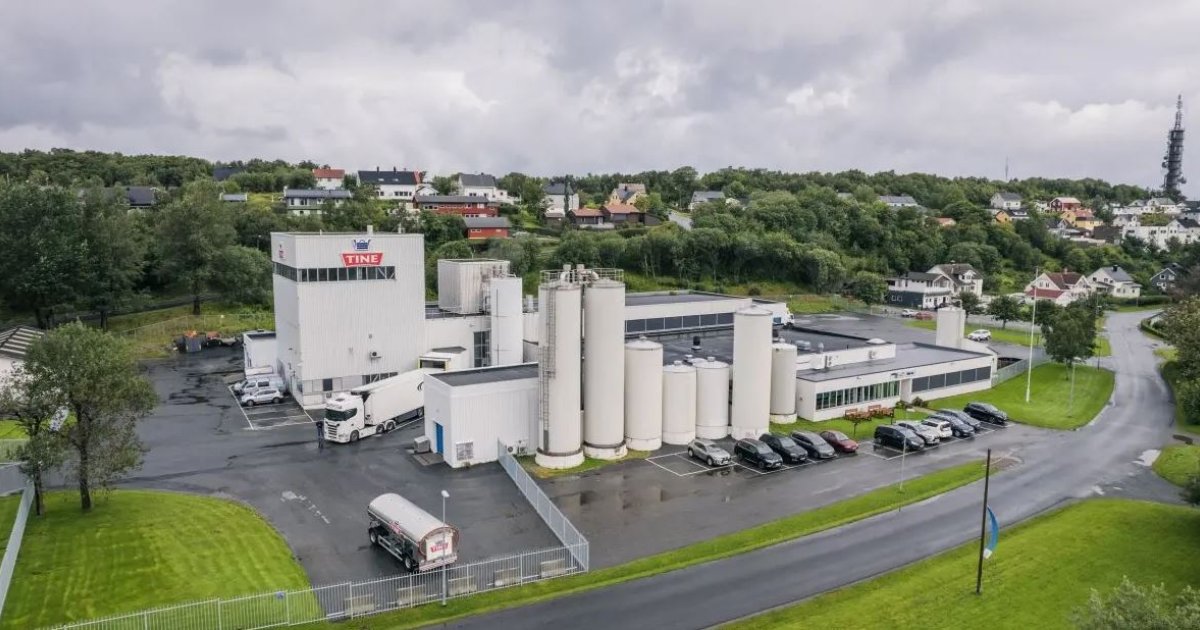 Produksjon Av S tmelk Og Lagerdrift I Sandnessj en Avvikles TINE Medlem
